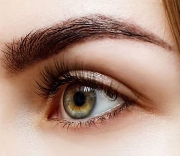 Eyebrow Transplant
